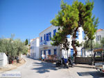 Eiland Spetses Griekenland De Griekse Gids Foto 039